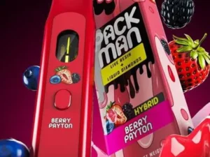 PackMan Berry Payton 2g Disposable